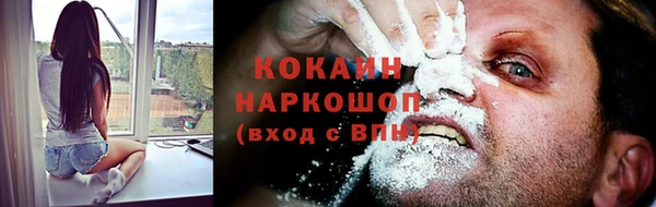 apvp Осинники