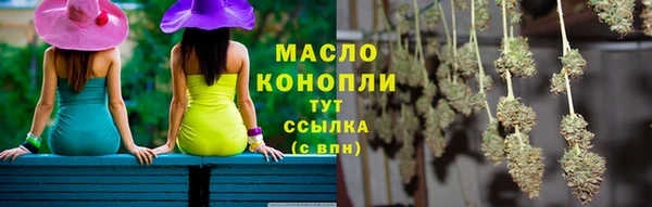 крисы Няндома