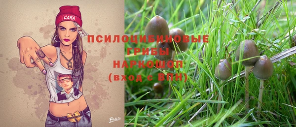 крисы Няндома