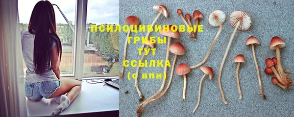 трава Осташков