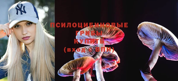 крисы Няндома